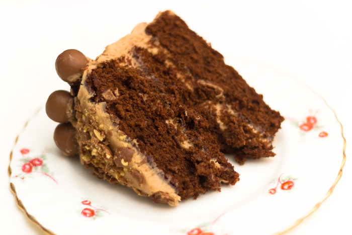 chocolate-malteser-cake-slice-700