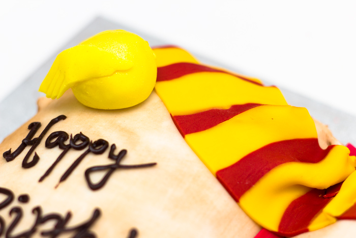 Harry-Potter-Cake-Snitch-and-Scarf-700