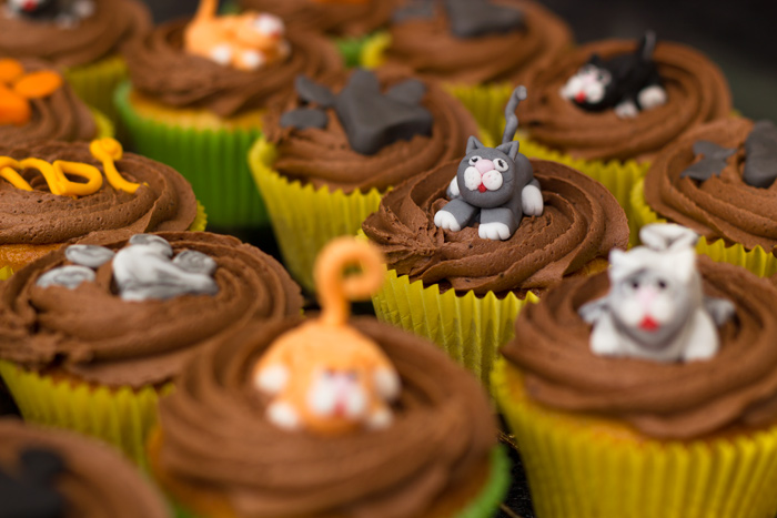 Cat themed cupcakes