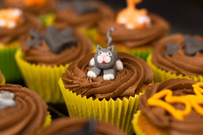Grey-cat-cupcakes-700