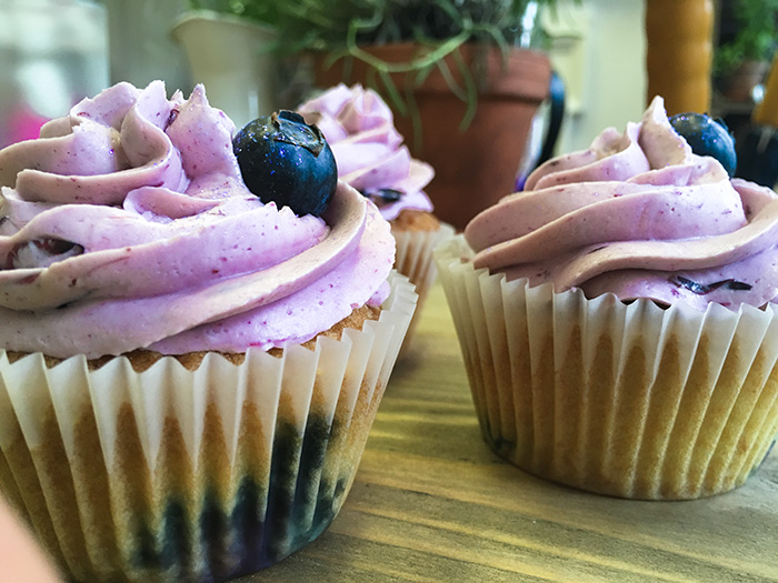 Blueberry Cupcake Recipe